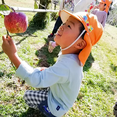 季節のイベント写真 みかん狩り