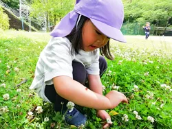 もみのき幼稚園・めだか園 写真12