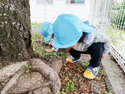 もみのき幼稚園・めだか園 写真17