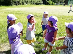 もみのき幼稚園・めだか園 写真23