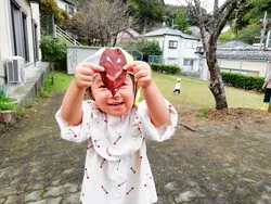 もみのき幼稚園・めだか園 写真24