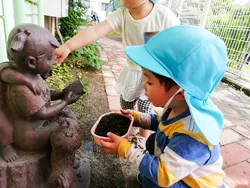 もみのき幼稚園・めだか園 写真25