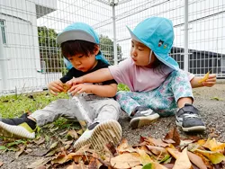 もみのき幼稚園・めだか園 写真26